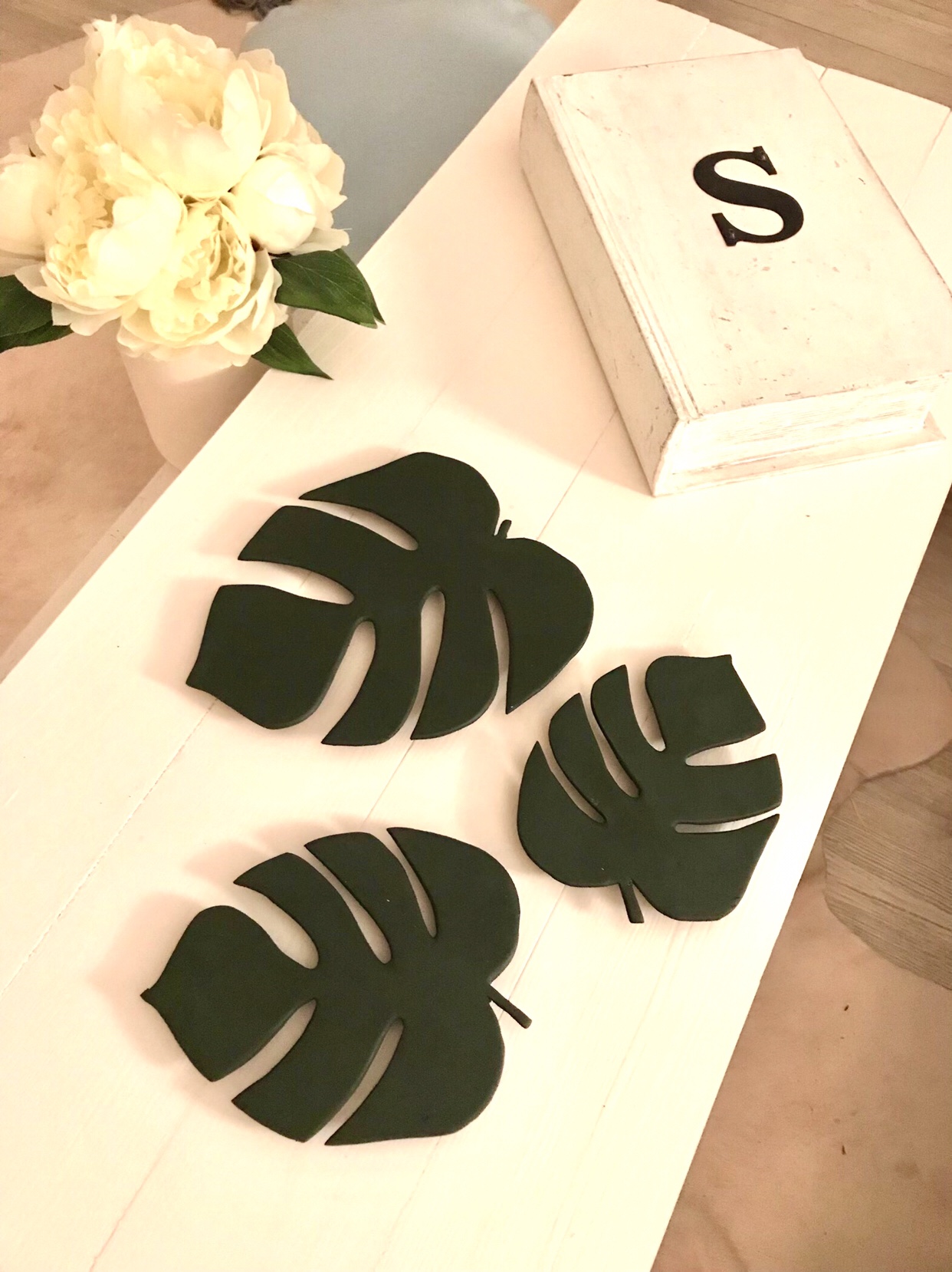 Monstera