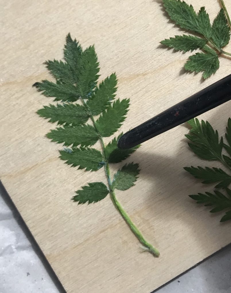 DIY: Gepresste Blätter auf Holz-Postkarte. Holzbild mit Pflanzen. Basteln mit Naturmaterial. Natur-Kunst auf Holz. #chalet8 #gepressteblätter #holzdiy #holzpostkarte