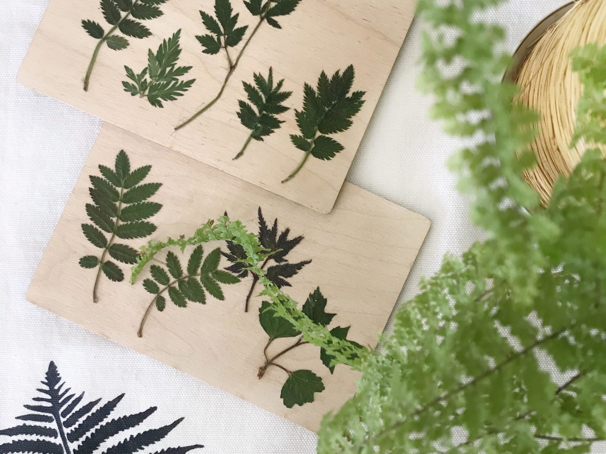 DIY: Gepresste Blätter auf Holz-Postkarte. Holzbild mit Pflanzen. Geschenkidee mit Naturmaterial. Natur-Kunst auf Holz. #chalet8 #gepressteblätter #holzdiy #holzpostkarte