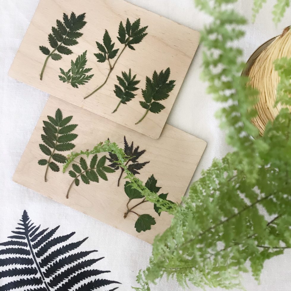 DIY: Gepresste Blätter auf Holz-Postkarte. Holzbild mit Pflanzen. Geschenkidee mit Naturmaterial. Natur-Kunst auf Holz. #chalet8 #gepressteblätter #holzdiy #holzpostkarte