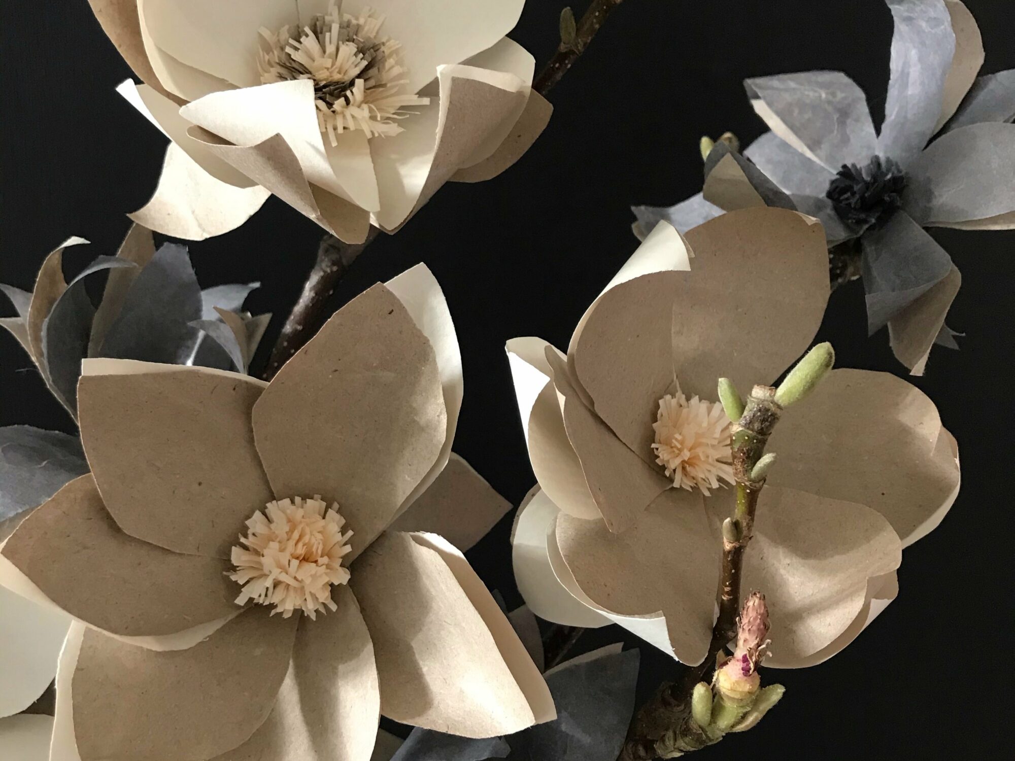 DIY Magnolie aus Papier basteln. Magnolienzweige zur Deko. Papierblume aus Seidenpapier, Geschenkpapier oder Packpapier selber machen. #Chalet8 #Magnolie #Papierblume #Frühlingsdeko #bastelnmitpapier