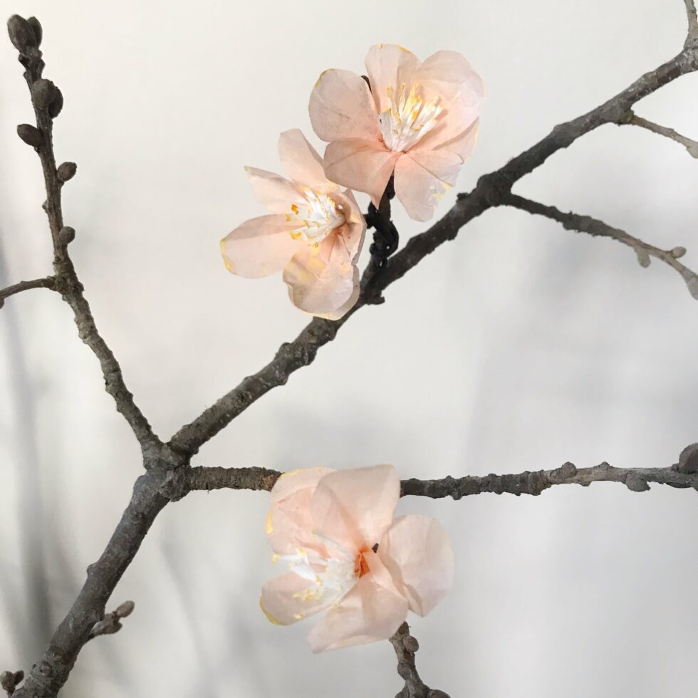 DIY: Papierblume basteln im Frühling. Seidenpapier Blume selber machen. #chalet8 #Papierblume #Papierblüten #Seidenpapierblume #Frühling #Frühlingsdeko #Frühlingsdiy
